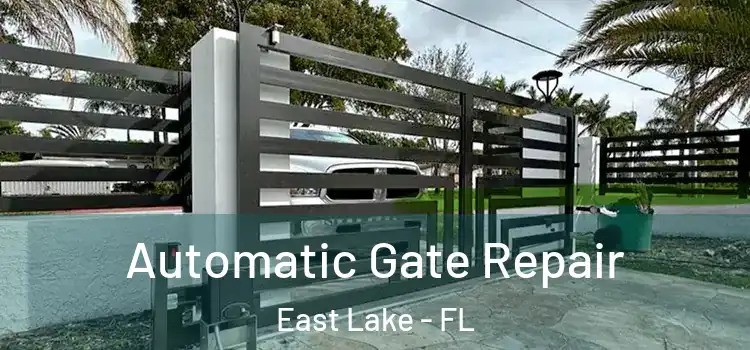 Automatic Gate Repair East Lake - FL