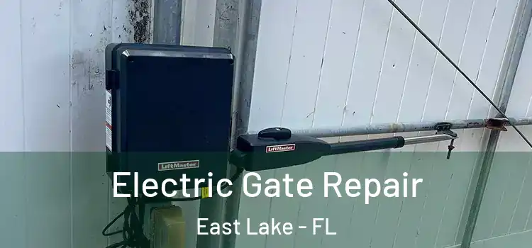  Electric Gate Repair East Lake - FL