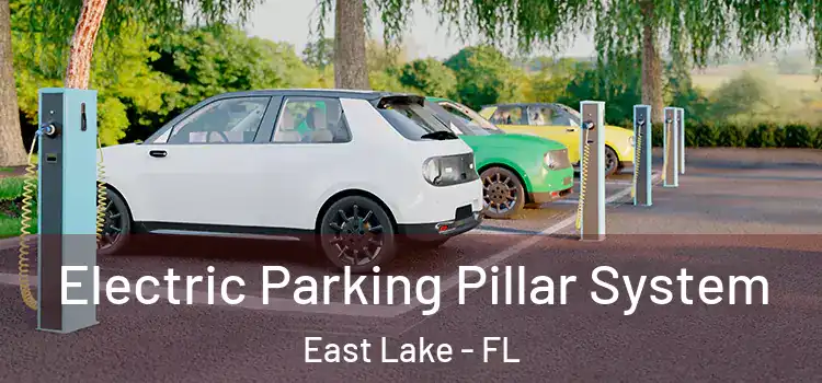 Electric Parking Pillar System East Lake - FL