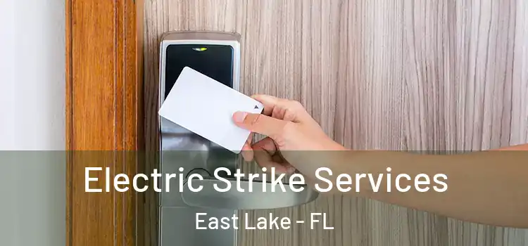  Electric Strike Services East Lake - FL