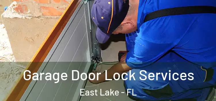 Garage Door Lock Services East Lake - FL