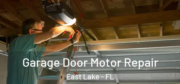  Garage Door Motor Repair East Lake - FL