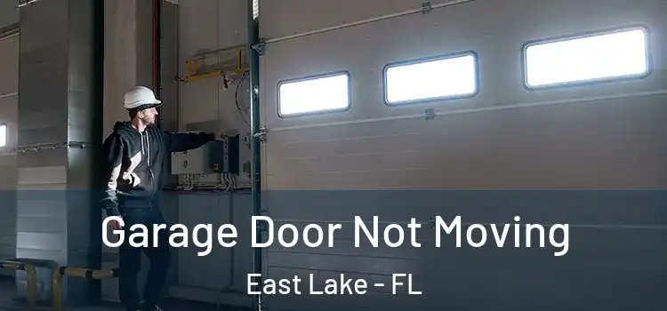  Garage Door Not Moving East Lake - FL