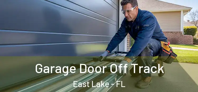  Garage Door Off Track East Lake - FL