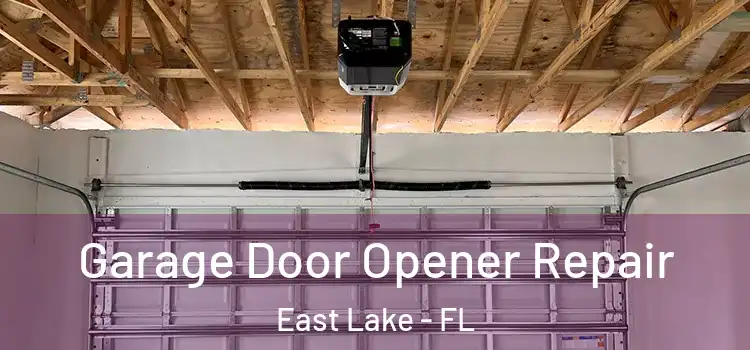  Garage Door Opener Repair East Lake - FL