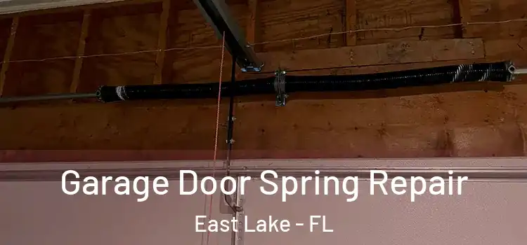  Garage Door Spring Repair East Lake - FL