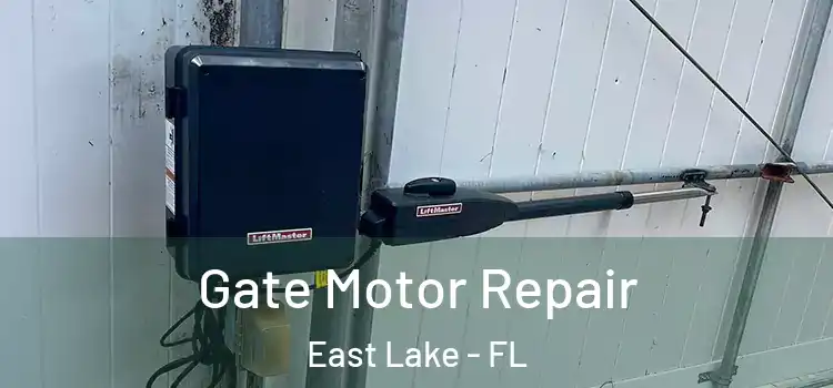 Gate Motor Repair East Lake - FL