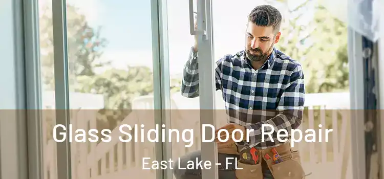  Glass Sliding Door Repair East Lake - FL