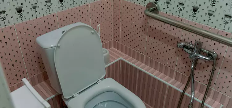 Meeting Diverse Needs With Accessible Restroom Solutions in East Lake, FL