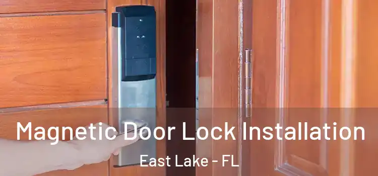  Magnetic Door Lock Installation East Lake - FL