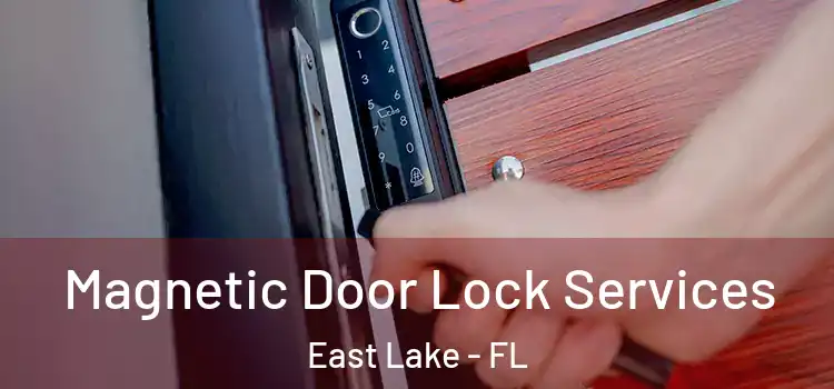 Magnetic Door Lock Services East Lake - FL