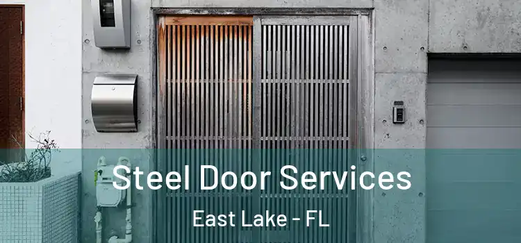 Steel Door Services East Lake - FL